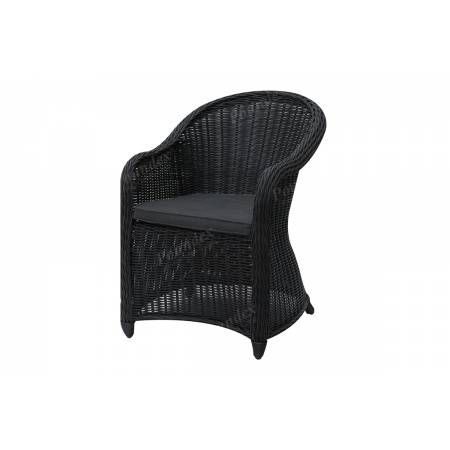 P50134 Outdoor Arm Chair